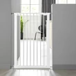 dogspace bonie extra magas kutyarács 105 cm fehér színben