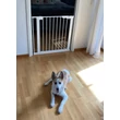 DogSpace Lassie nyomásrögzítő kapu rács kutyáknak, 73-80cm cm fehér