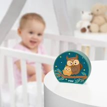 Elemes LED-es éjjeli fény bagoly mintával