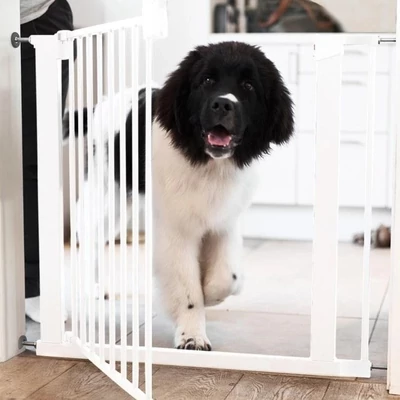 DogSpace Lassie nyomásrögzítő kapu rács kutyáknak, 73-80cm cm fehér
